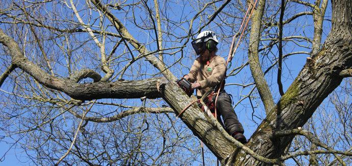 Wildlife Trusts