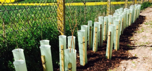 Planting Services