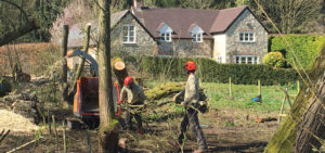 Tree Surgery for Estates